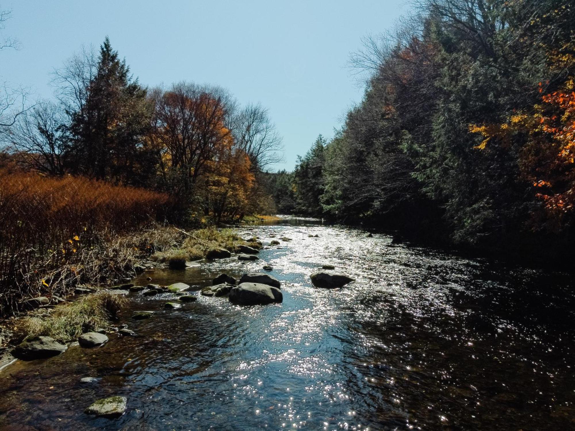 Antrim Streamside Hotel Livingston Manor Buitenkant foto