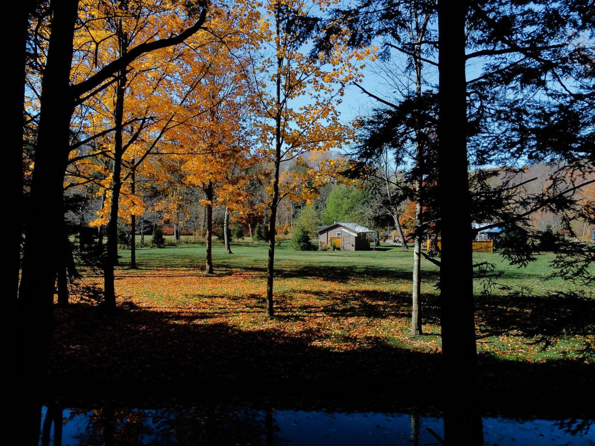 Antrim Streamside Hotel Livingston Manor Buitenkant foto
